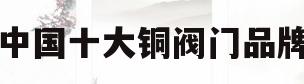 中国十大铜阀门品牌(中国铜阀门品牌100排行榜)
