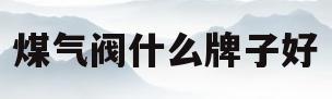 煤气阀什么牌子好(什么牌子的煤气阀质量过硬)