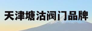 天津塘沽阀门品牌(天津超值的塘沽阀门厂家批发零售)