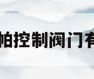上海蓝帕控制阀门有限公司(上海蓝帕新材料科技有限公司)