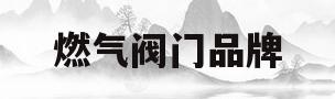 燃气阀门品牌(燃气阀门品牌有哪些)