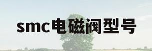 smc电磁阀型号(smc电磁阀型号图解)