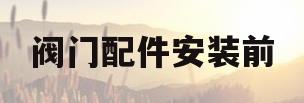 阀门配件安装前(阀门配件安装前检查试验记录续)