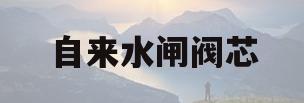自来水闸阀芯(自来水闸阀坏了怎么换)
