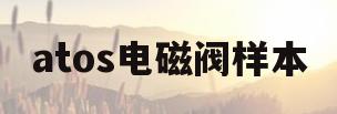 atos电磁阀样本(atos电磁阀说明书)