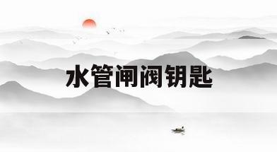 水管闸阀钥匙(水管闸阀钥匙空心内五角22)