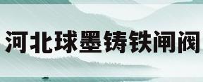 河北球墨铸铁闸阀(河北球墨铸铁闸阀生产厂家)