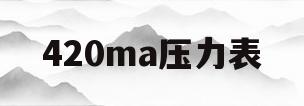 420ma压力表(466压力表)