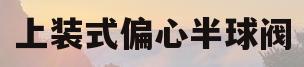 上装式偏心半球阀(上装式偏心半球阀图片)
