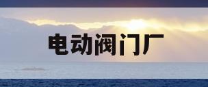 电动阀门厂(电动阀门厂家全国排名)