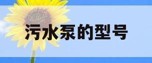 污水泵的型号(污水泵的型号最后一位字母代表什么意思)