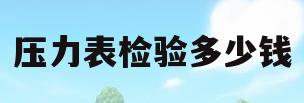 压力表检验多少钱(压力表检定收费标准)