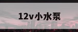12v小水泵(12v小水泵怎么拆卸)