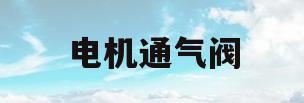 电机通气阀(气动电磁阀进气口和出气口)