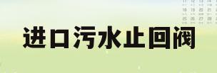 进口污水止回阀(排污管阀门止回阀安装)