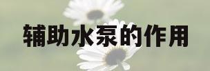 辅助水泵的作用(辅助水泵的作用是什么)