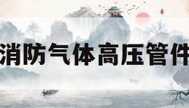 消防气体高压管件(消防气体高压管件报价)