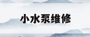 小水泵维修(小水泵坏了怎么修)