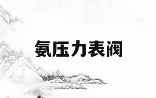 氨压力表阀(氨压力表阀门)