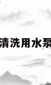 清洗用水泵(清洗水泵房的通知怎么打)