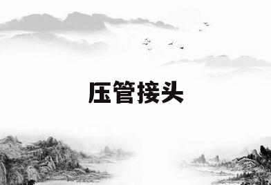 压管接头(压管接头器)