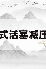 可调式活塞减压阀的(可调式活塞减压阀的作用)