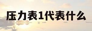 压力表1代表什么(压力表m10×1是什么意思)