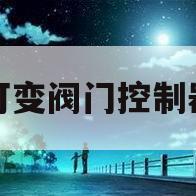 可变阀门控制器(可变阀门是什么意思)