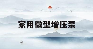 家用微型增压泵(家用微型增压泵三个小孔漏水怎么回事)