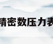 精密数压力表(精密压力表精度)